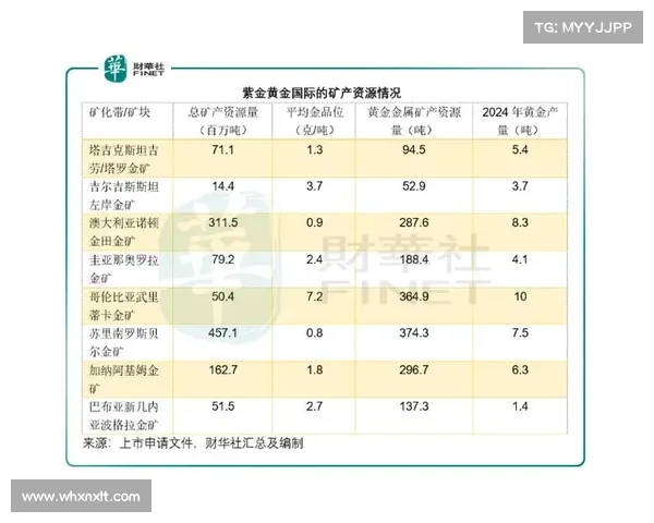全球八大金矿石开采地区及其对全球黄金产业的深远影响分析 全球八大金矿石开采地区及其对全球黄金产业的深远影响分析