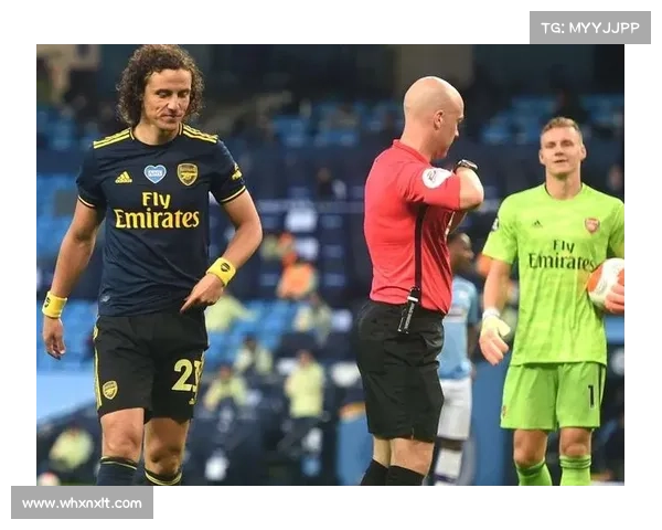 大卫路易斯球场地理位置解析五大关键因素探讨