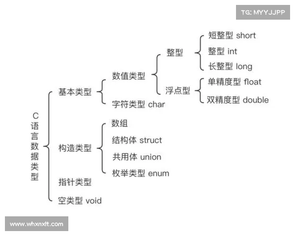 如何有效学习巴舒亚伊的母语知识及其语言学习方法探索