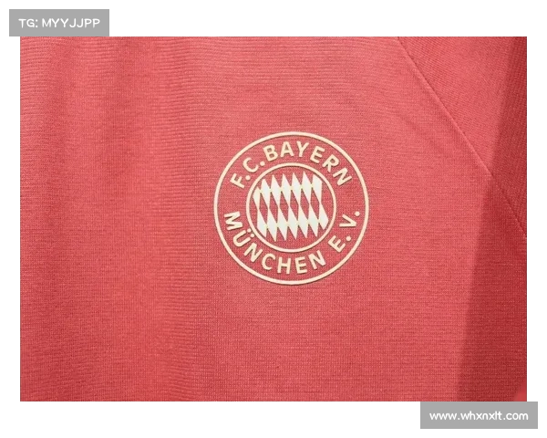 拜仁慕尼黑球场的辉煌历程与深厚文化底蕴探秘